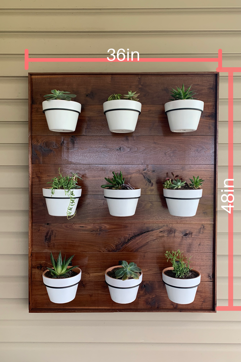 DIY succulent wall