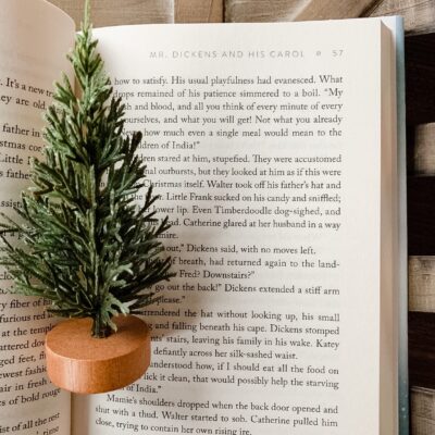 10 Christmas Books to Read This December