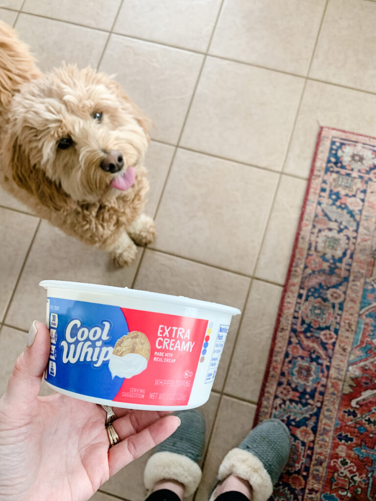 Labradoodles love Cool Whip