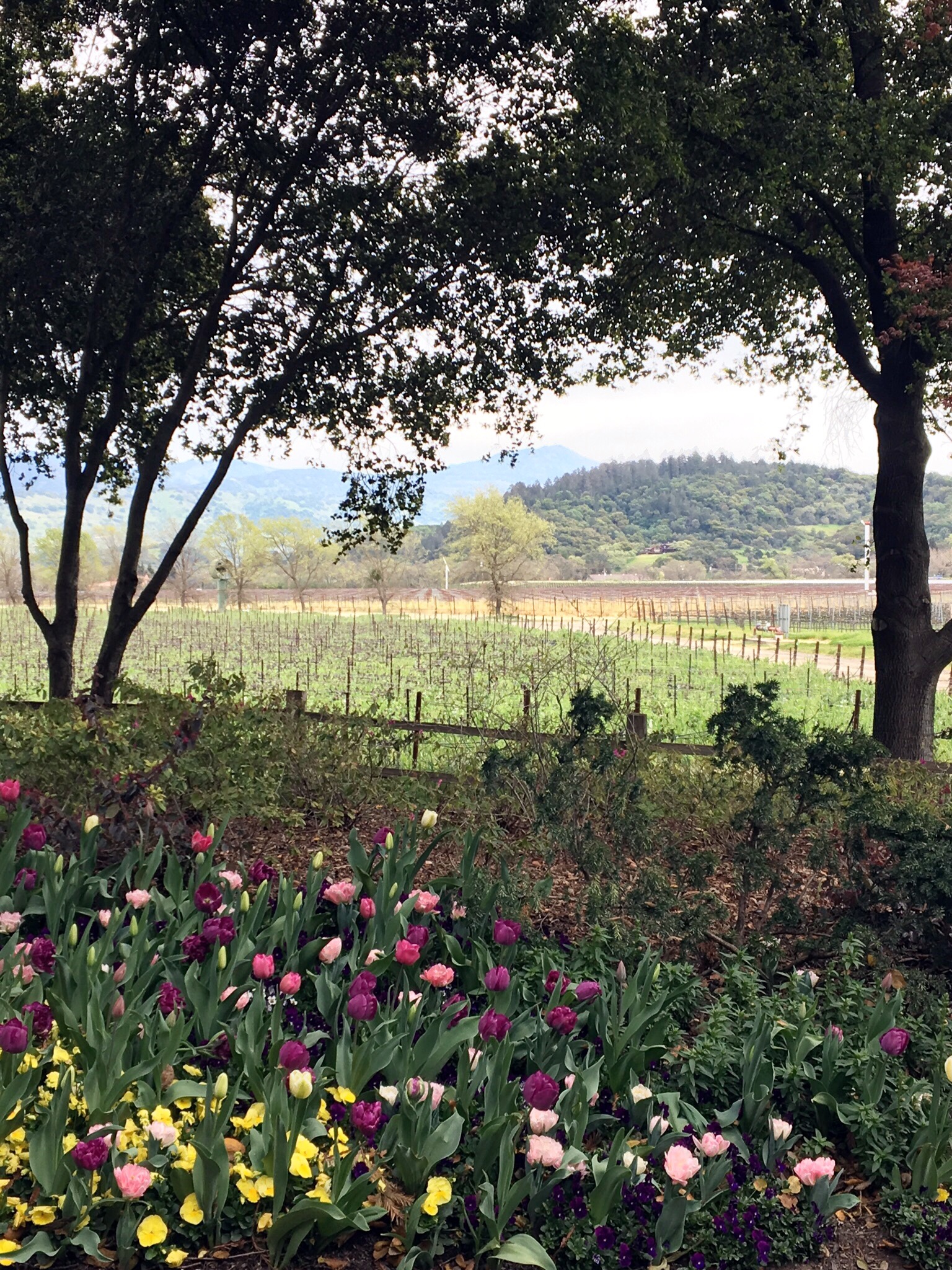 napa valley girlfriend getaway