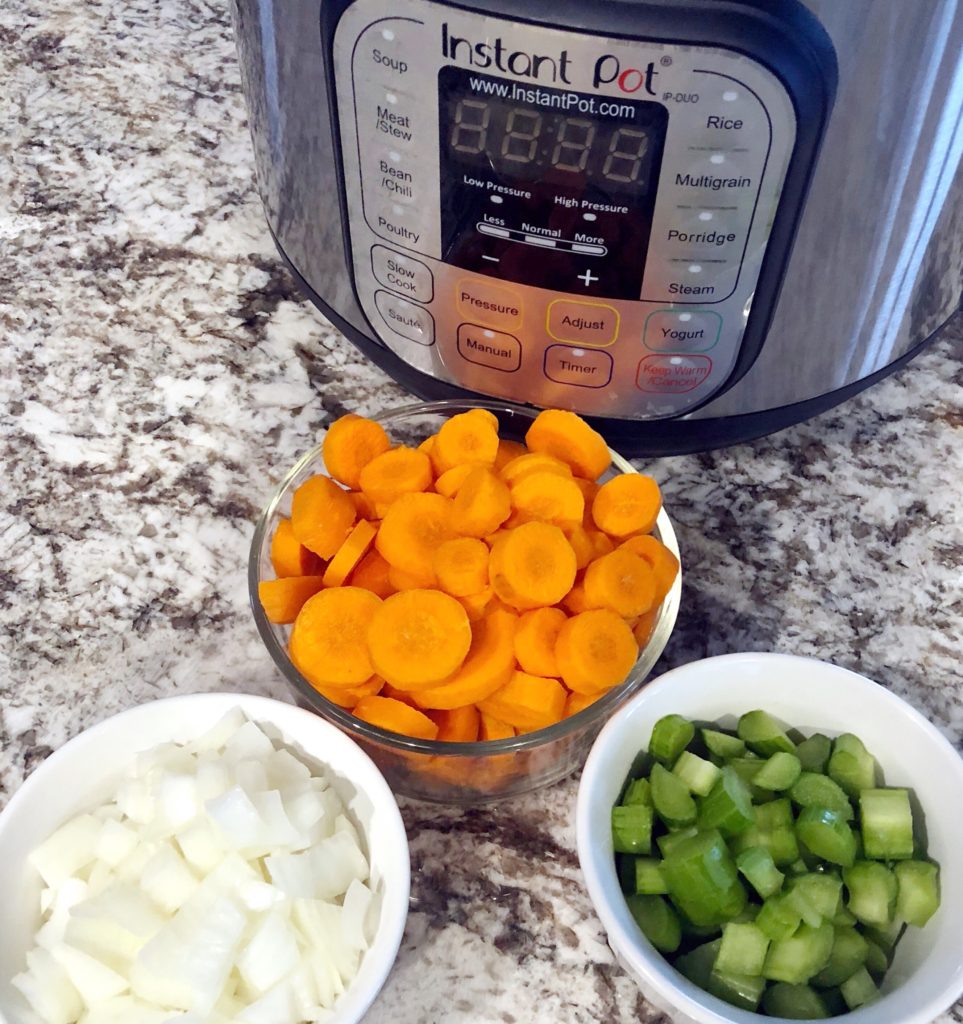 Easy Instant Pot chicken noodle soup recipe full of flavor