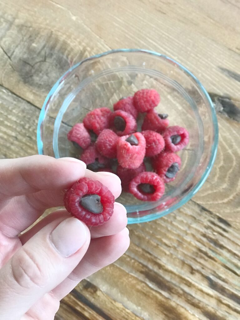 Kid Friendly Snacks