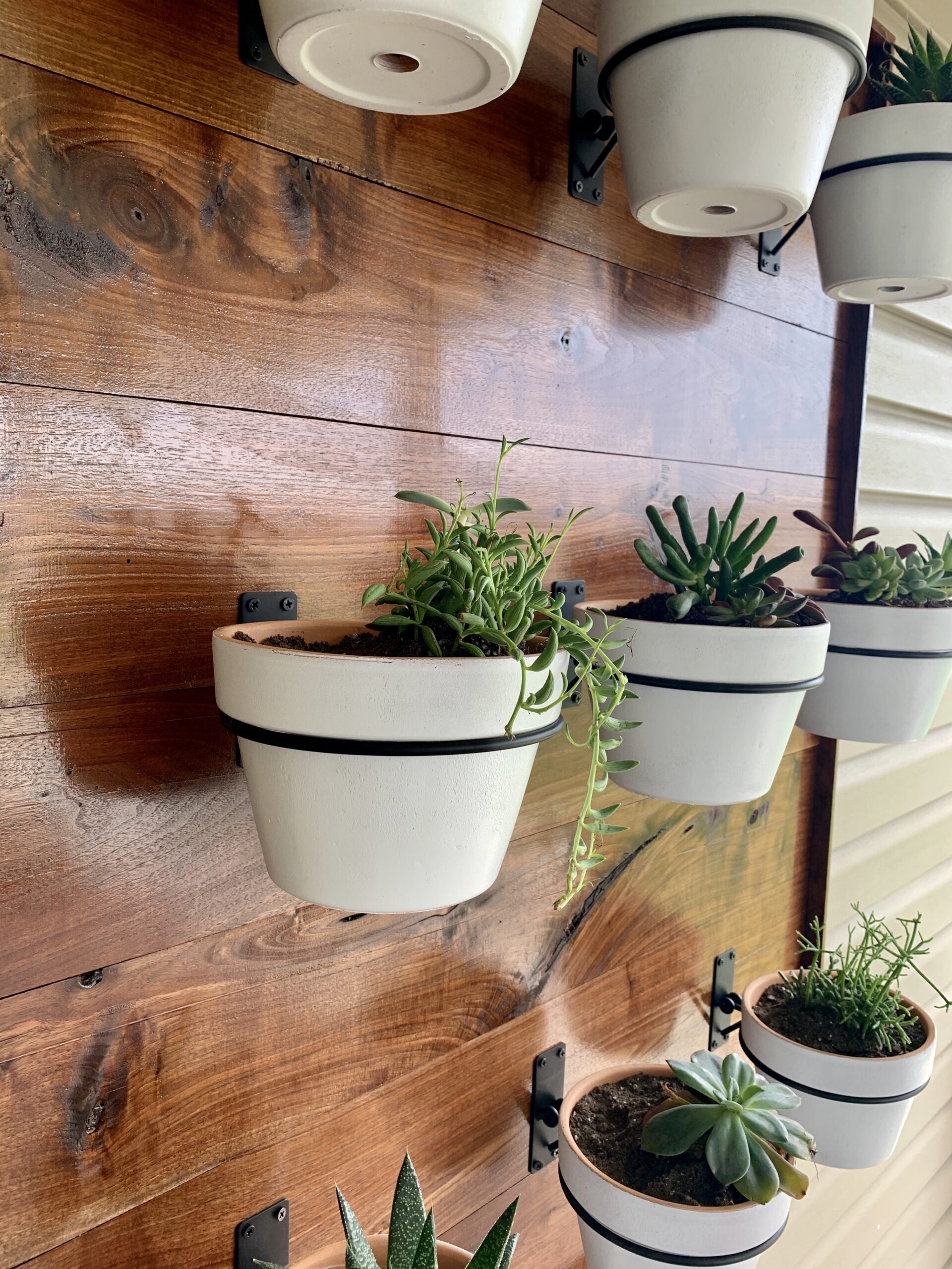 If you are looking for a fun do-it-yourself project, look no further than this easy outdoor succulent wall! 