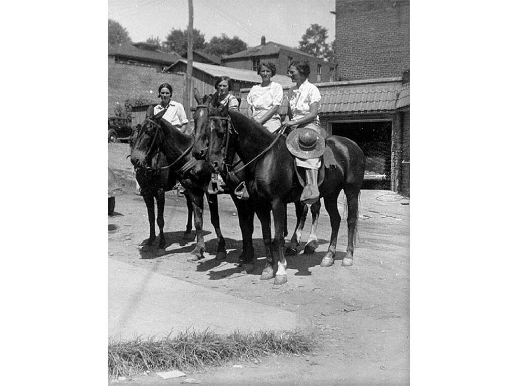 pack horse librarians