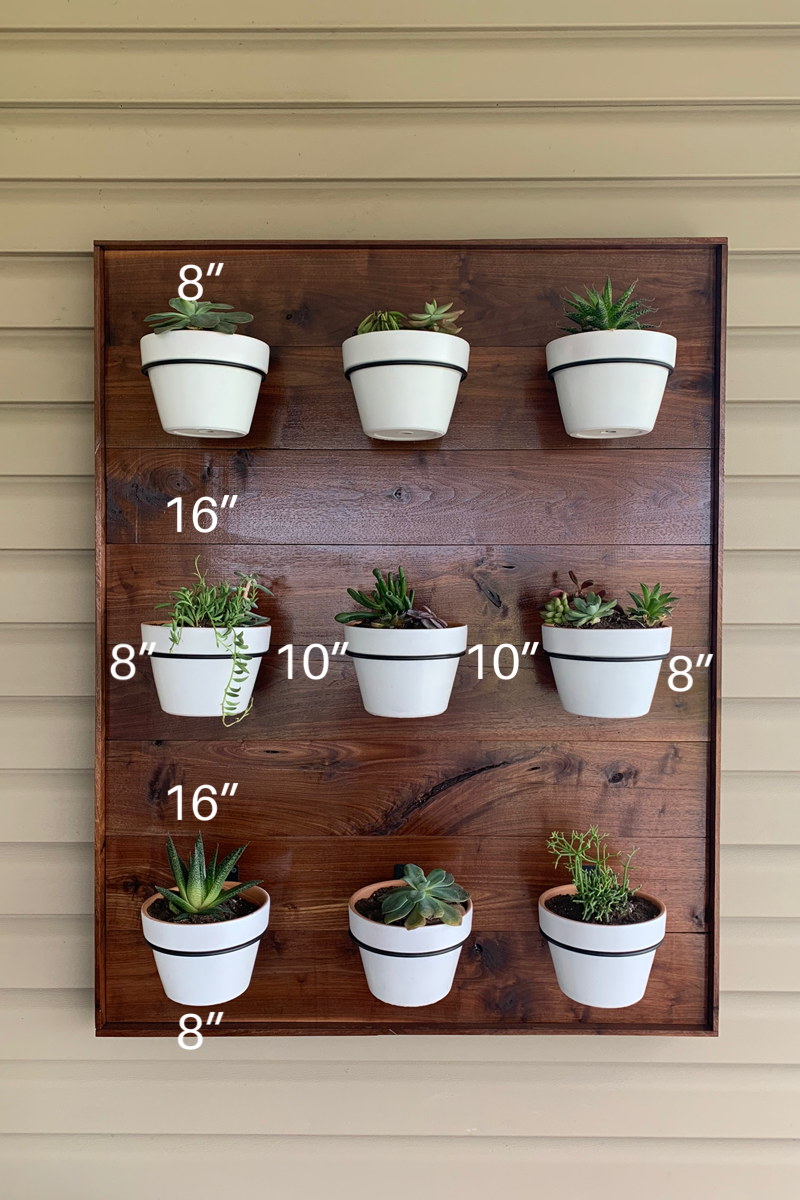 measurements for DIY outdoor succulent wall