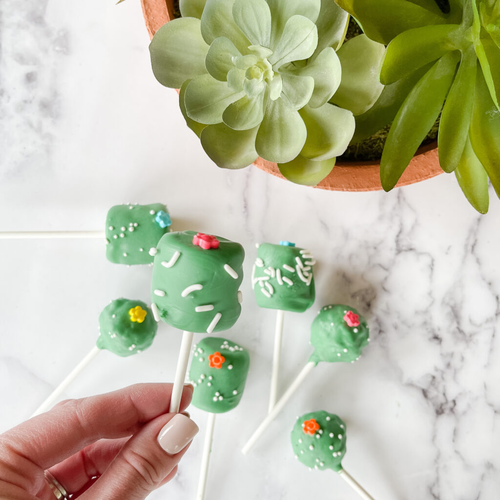 Succulent Pops