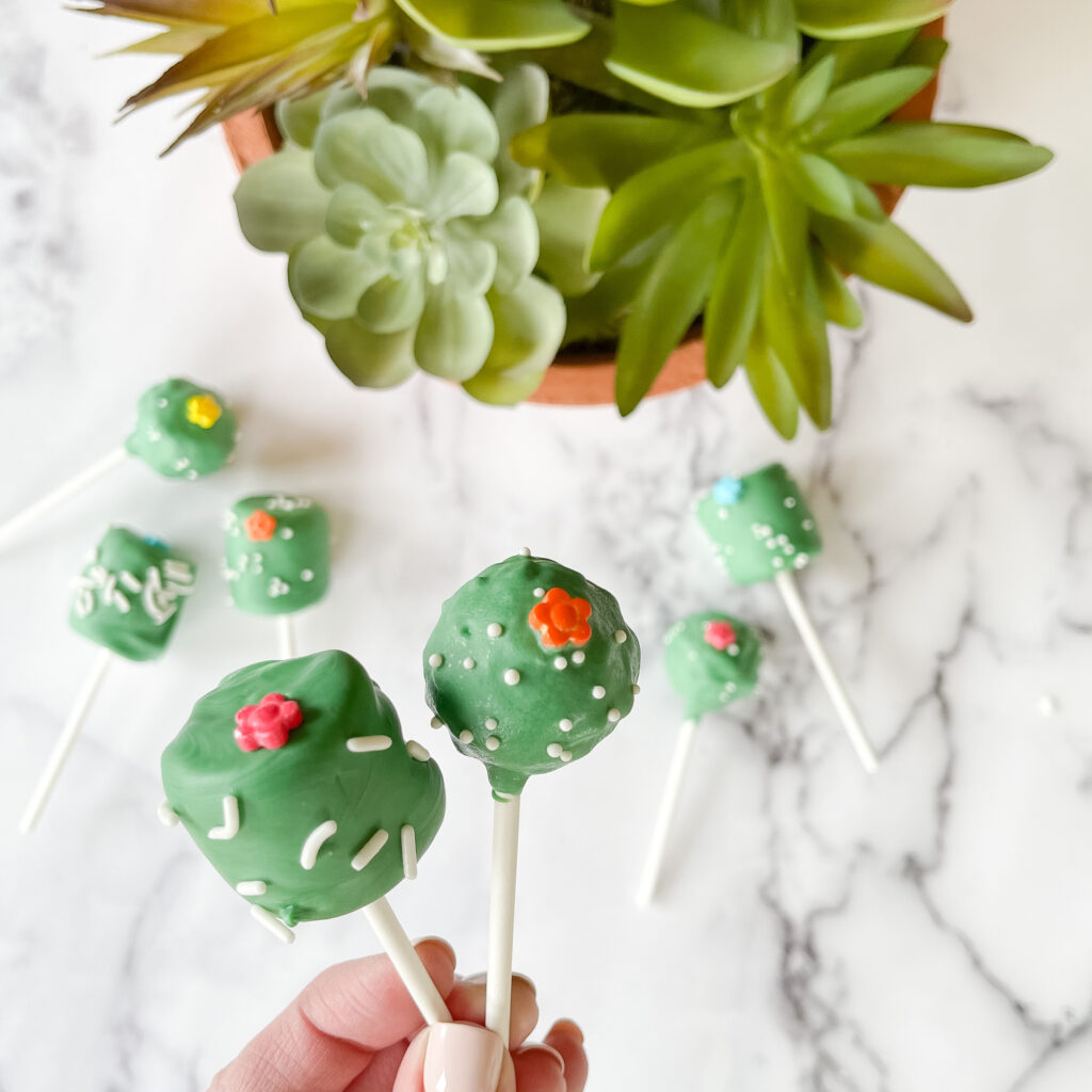 Succulent Pops