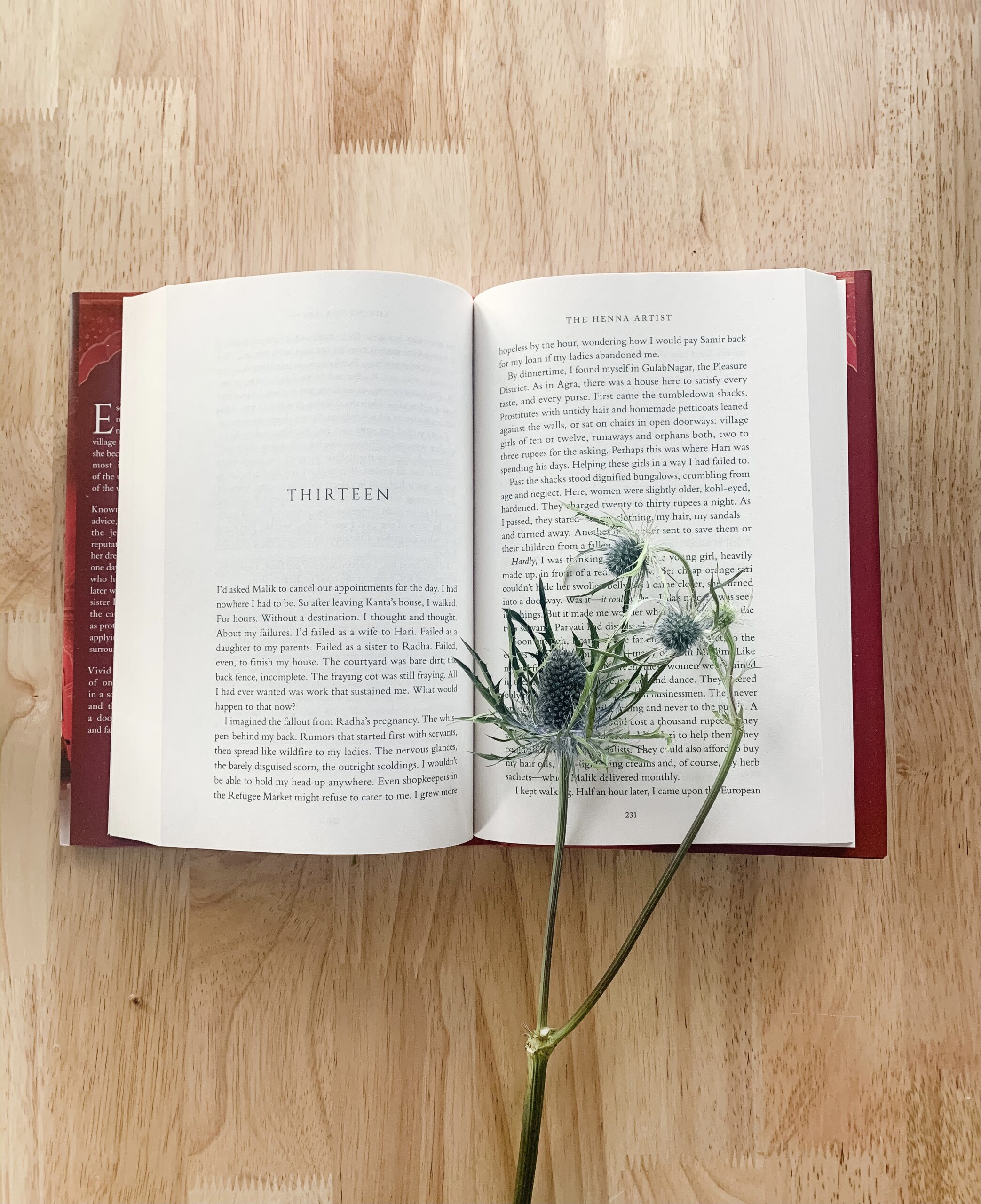 photograph of the text of the book The Henna Artist by Alka Joshi